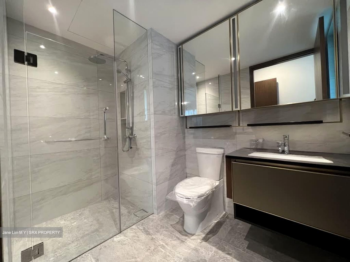 Normanton Park (D5), Apartment #535875291